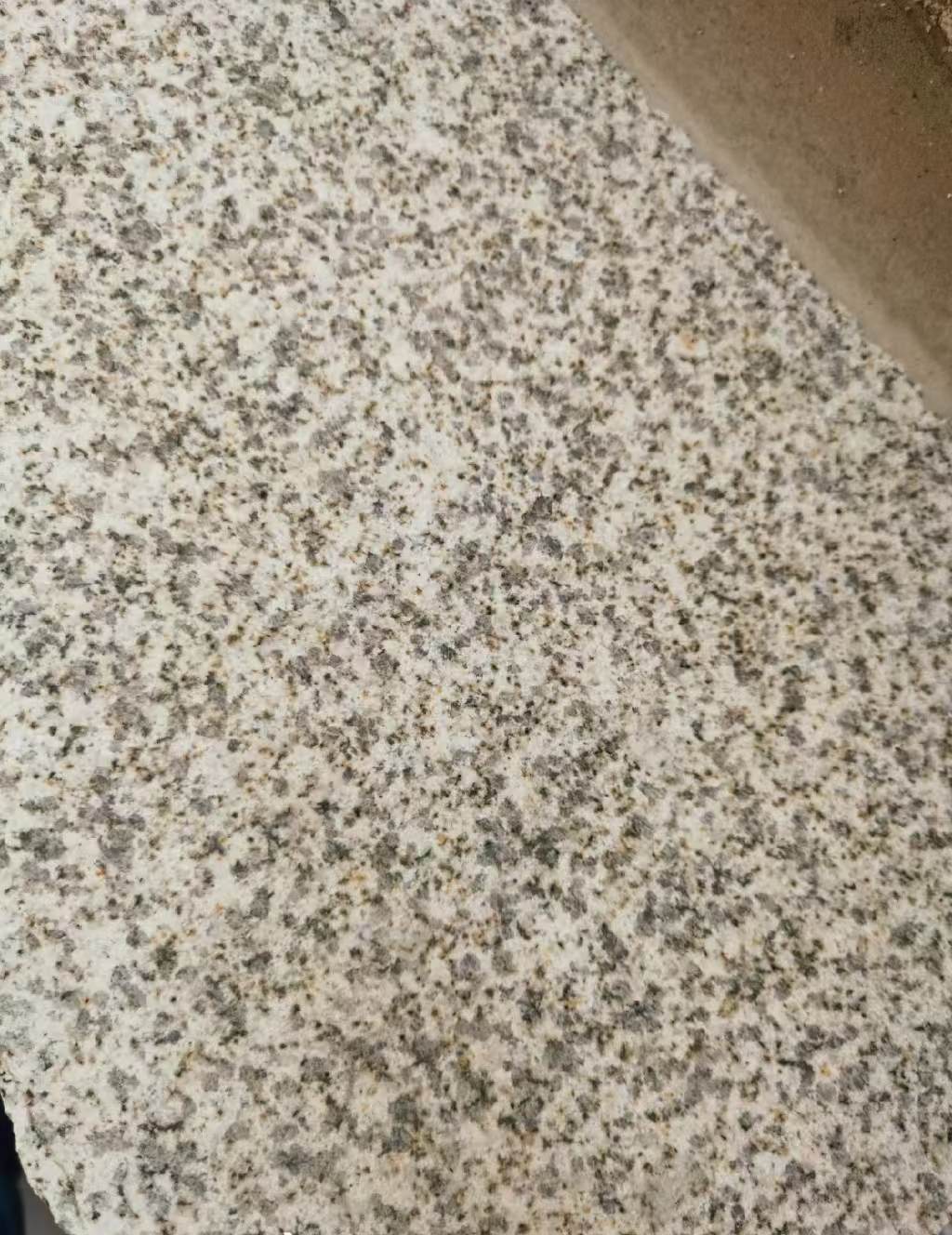 运城 黄金麻中黄光面