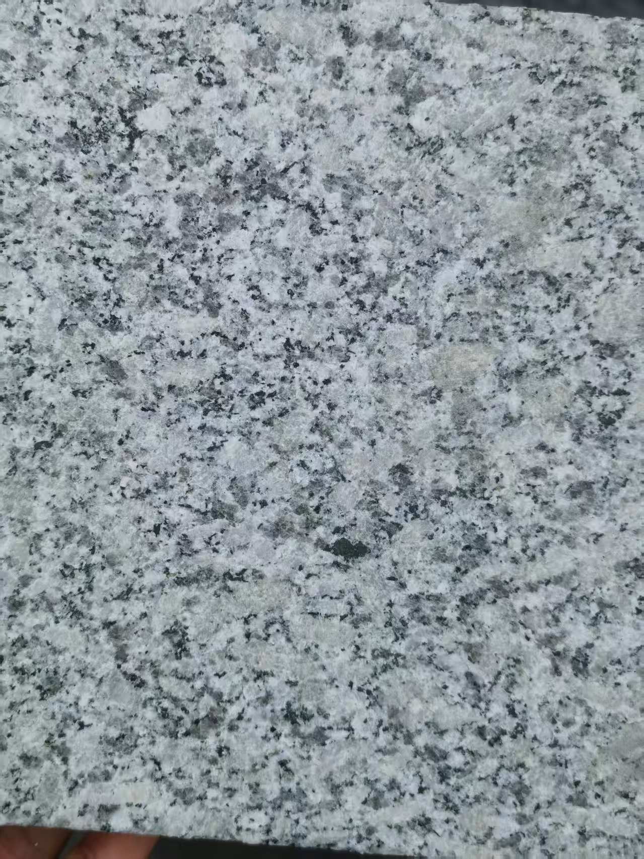 运城 芙蓉白火烧面