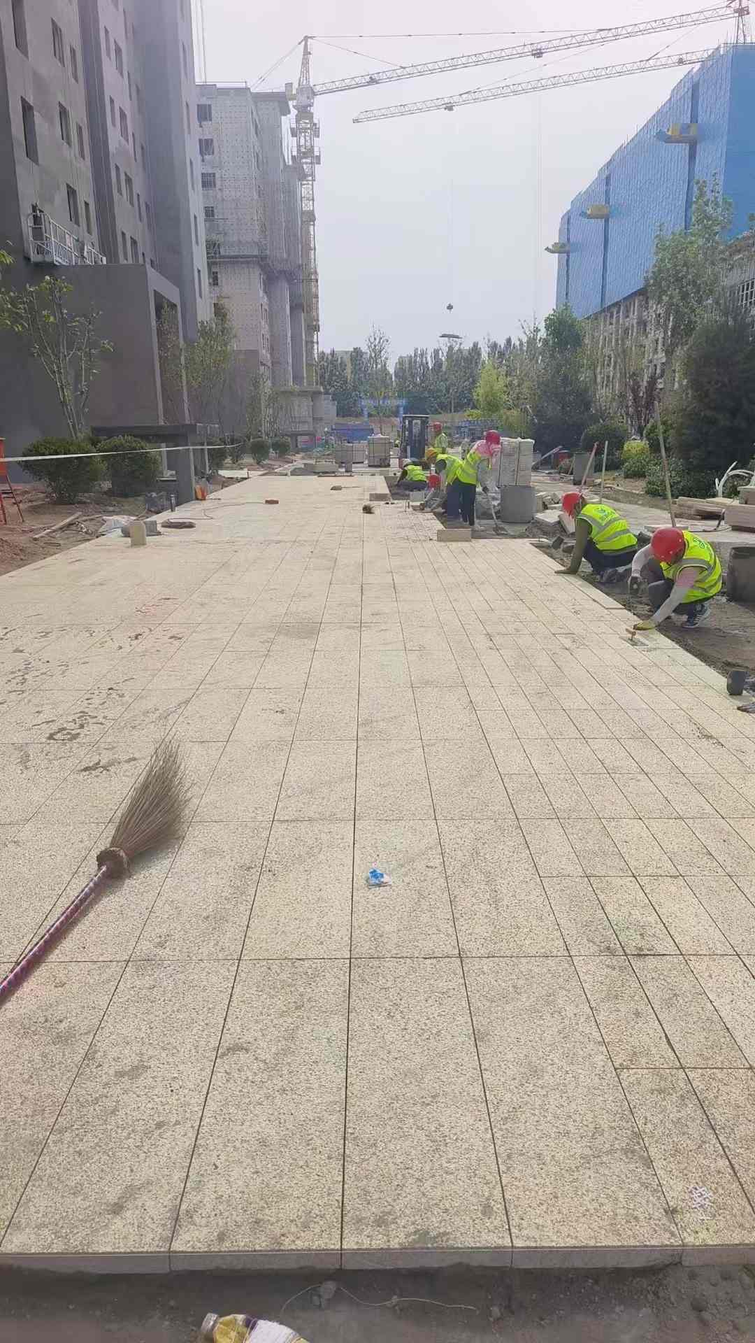 运城黄金麻荔枝面地铺案例