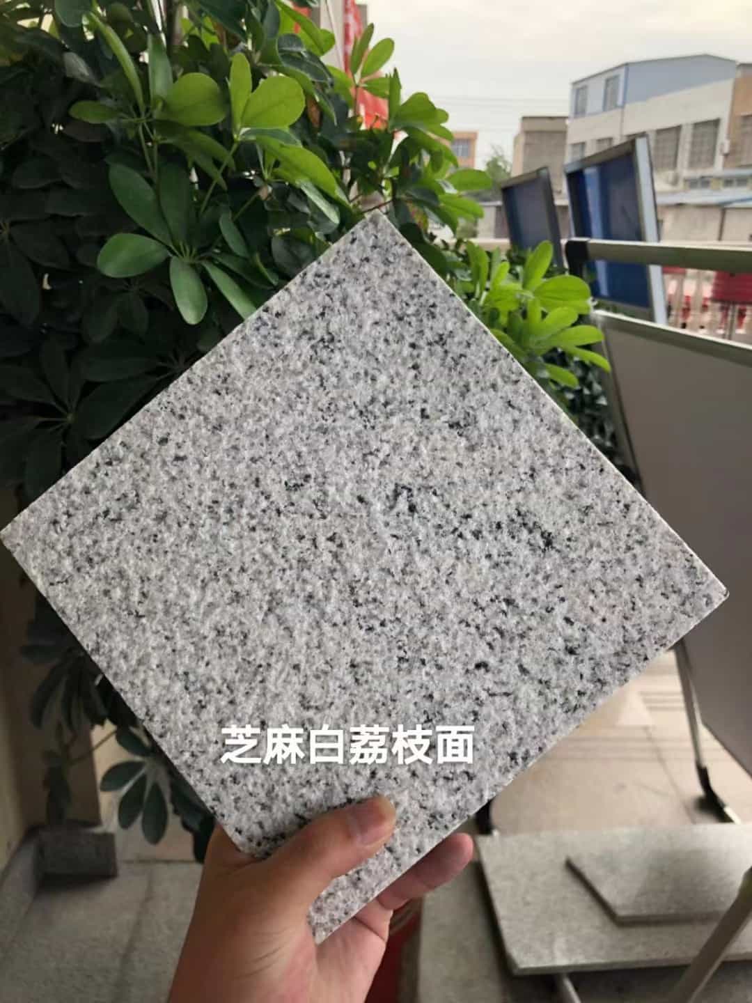 运城 芝麻白荔枝面干挂
